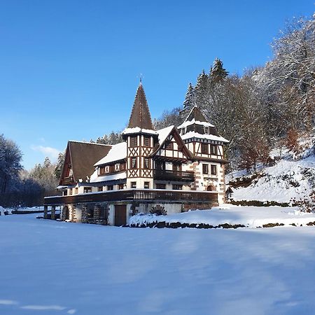 Villa Le Saint moulin de La Petite Pierre à Lohr Extérieur photo
