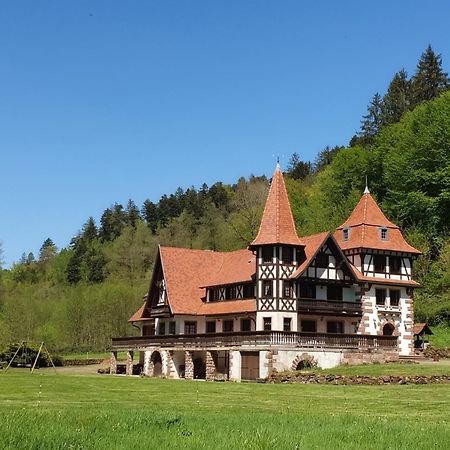 Villa Le Saint moulin de La Petite Pierre à Lohr Extérieur photo