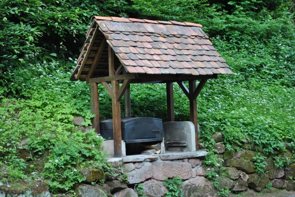 Villa Le Saint moulin de La Petite Pierre à Lohr Extérieur photo