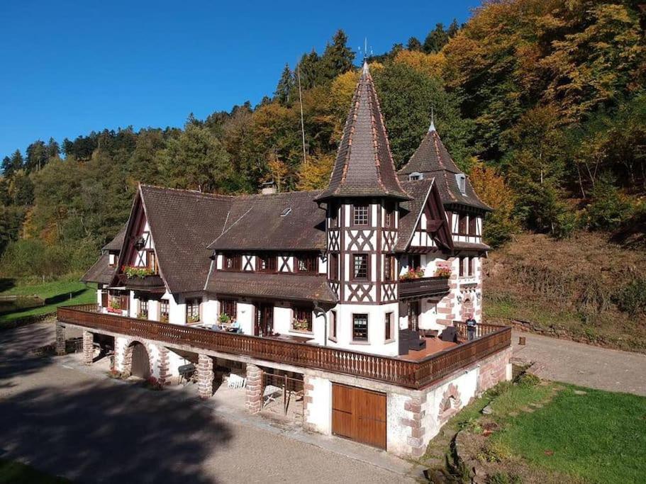 Villa Le Saint moulin de La Petite Pierre à Lohr Extérieur photo
