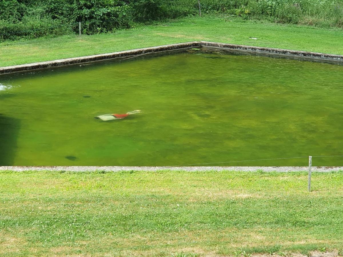 Villa Le Saint moulin de La Petite Pierre à Lohr Extérieur photo