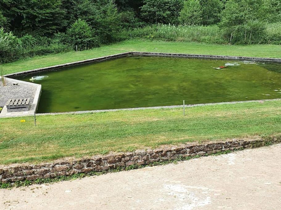 Villa Le Saint moulin de La Petite Pierre à Lohr Extérieur photo