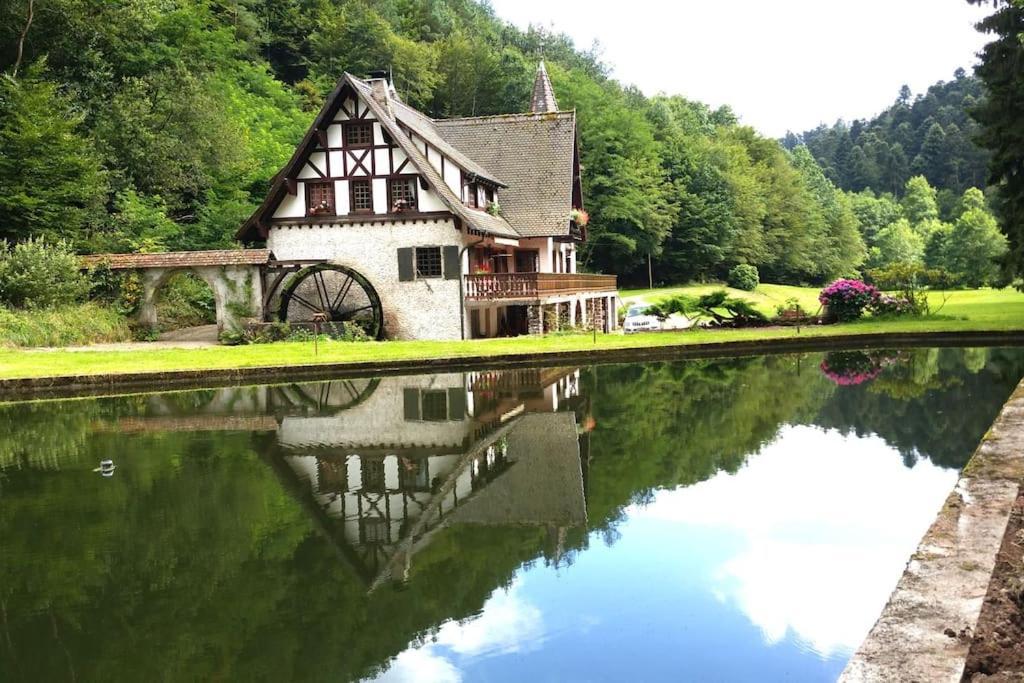 Villa Le Saint moulin de La Petite Pierre à Lohr Extérieur photo
