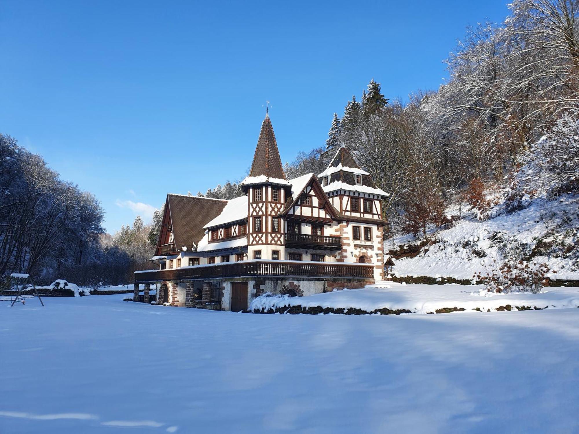 Villa Le Saint moulin de La Petite Pierre à Lohr Extérieur photo